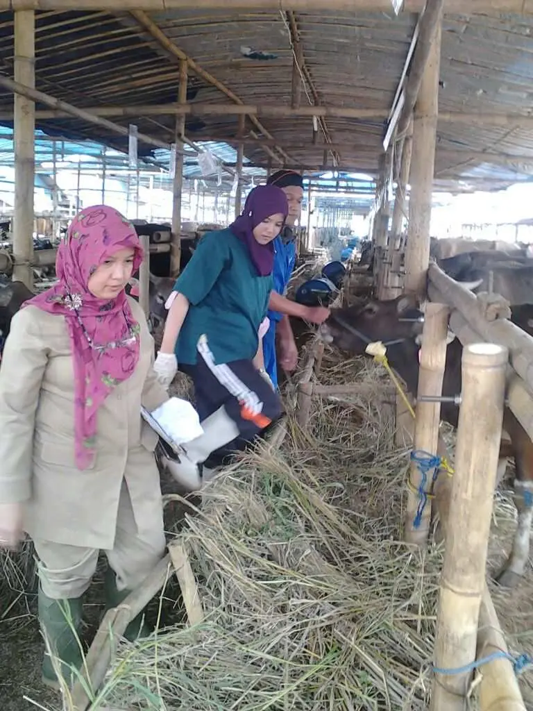 Jelang Idul Adha, Hewan Kurban Diperiksa Kesehatannya